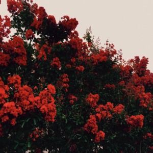 Meet your Posher, Jillian